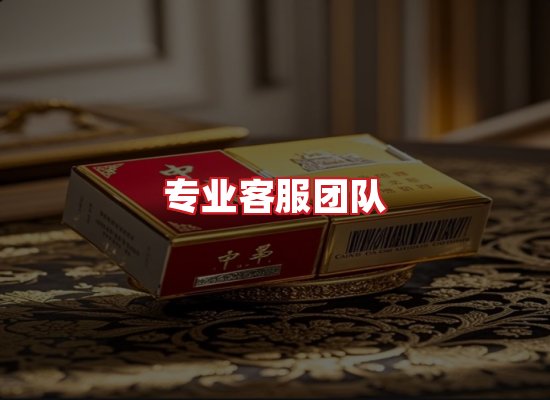 专业团队